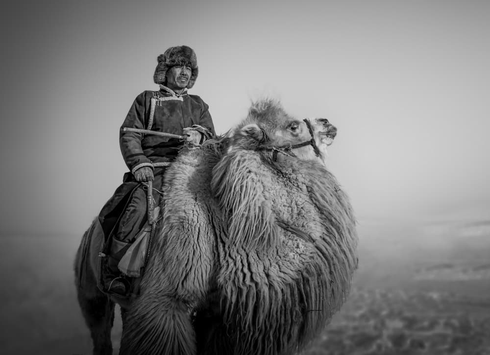 Winter Camel Rider by Irene Wu — canvas wall art