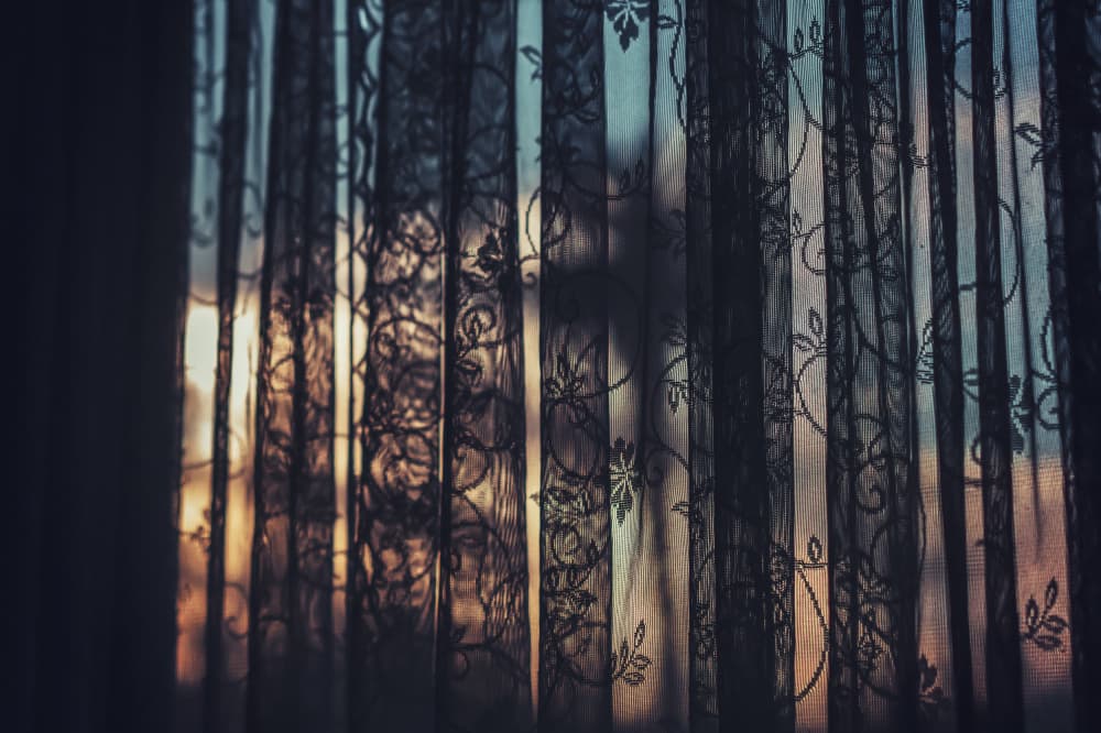 Filtered Morning Light by Tim Mossholder — canvas wall art