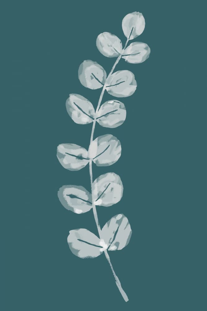 Soft Eucalyptus Leaves by cartissi — canvas wall art