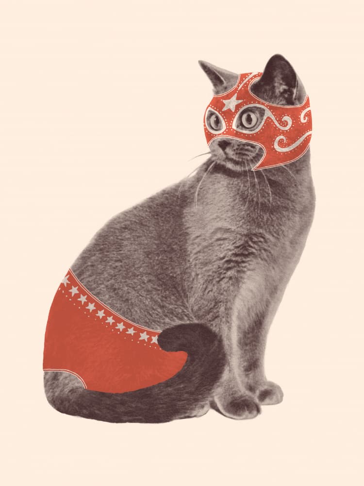 Funny Luchador Cat by Florent Bodart — canvas wall art