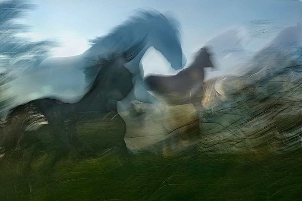 Galloping Horses Abstract by Milan Malovrh — canvas wall art