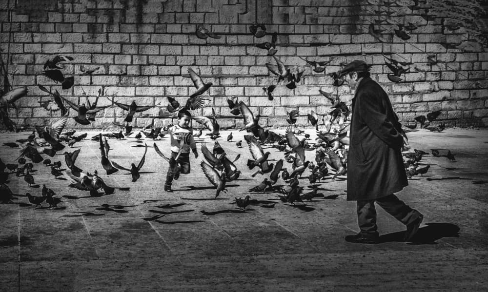 Pigeons And Street People by Ömer Ates Kızıltug — canvas wall art
