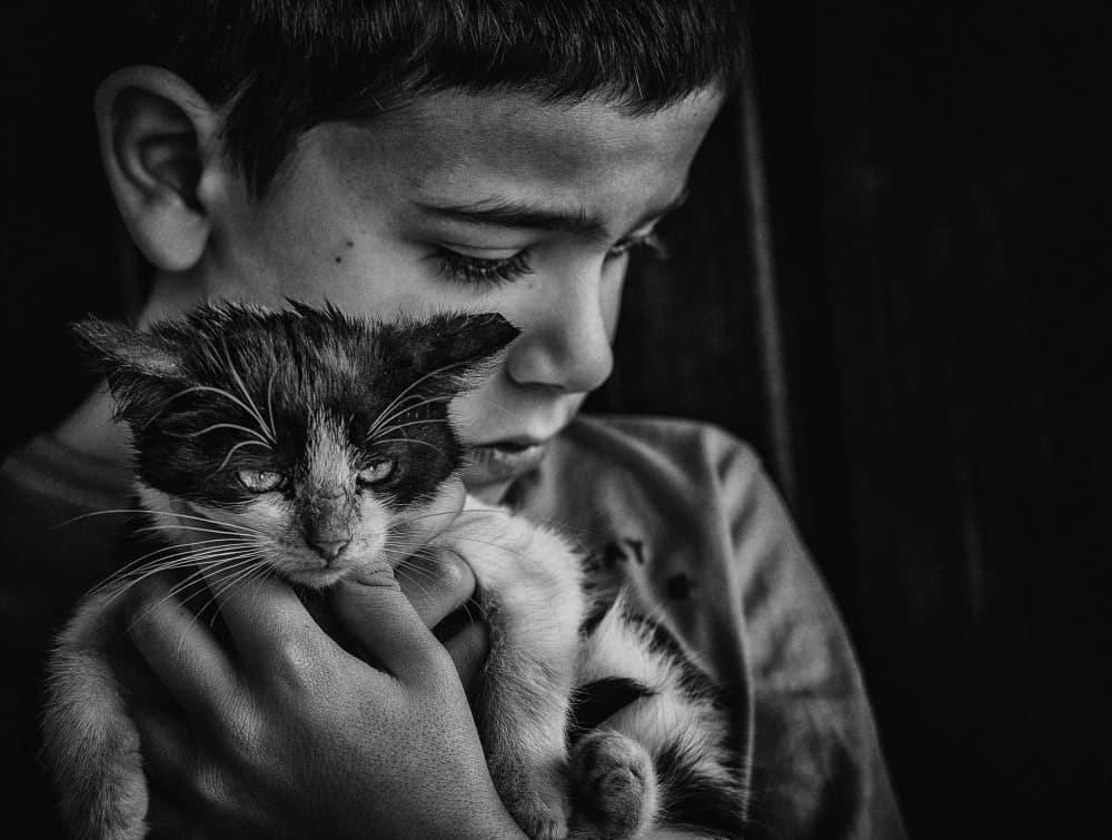 Young Boy Tender Kitten by Todor Tanev — canvas wall art