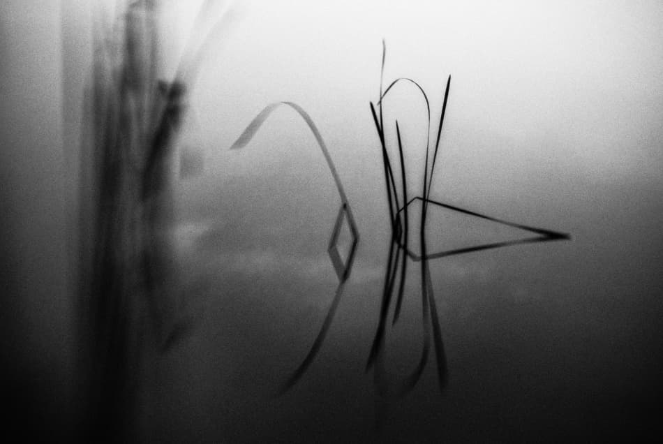 Misty Reeds Reflection by Codrin Lupei — canvas wall art