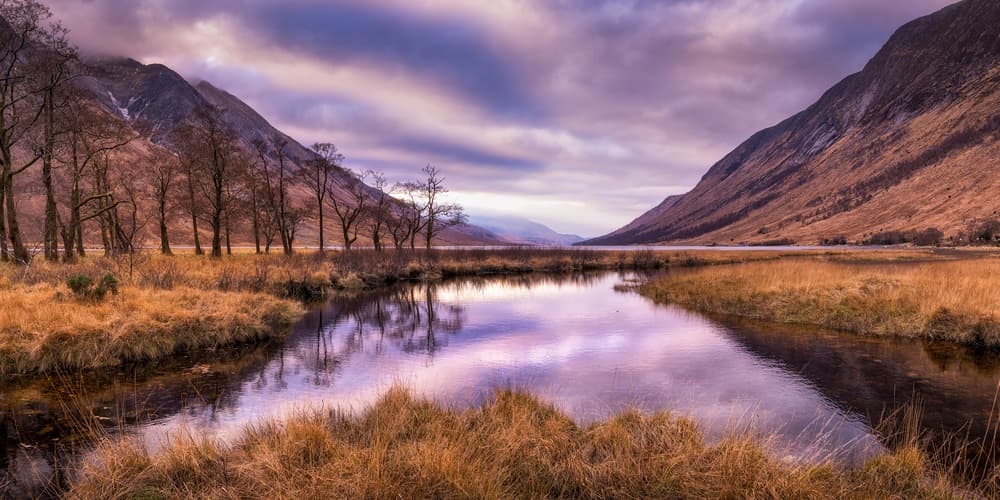 Majestic Valley Reflection by Matt Anderson — canvas wall art