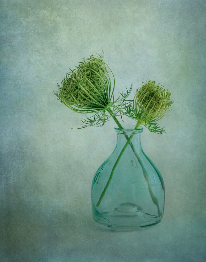 Aqua Vase Greenery by Ytje Veenstra — canvas wall art
