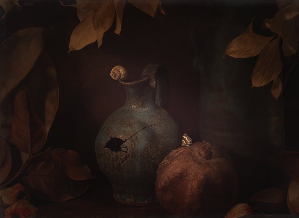 Moody Still Life Pomegranate by Igor Tokarev — canvas wall art