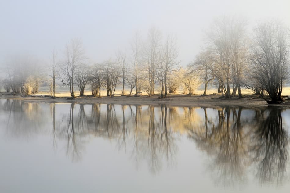 Misty Winter Reflections by Bor — canvas wall art