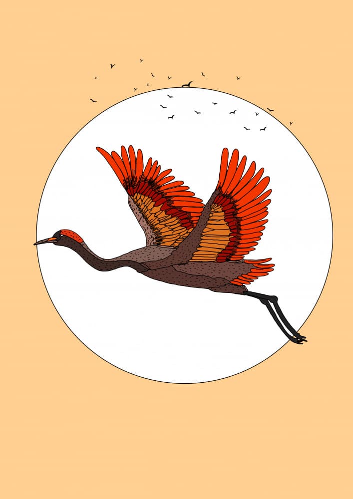 Graceful Red Wing Crane by Nicholas — canvas wall art