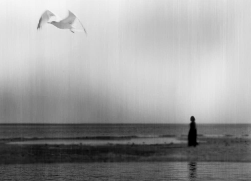 Coastal Flight and Solitude by Milena Seita — canvas wall art