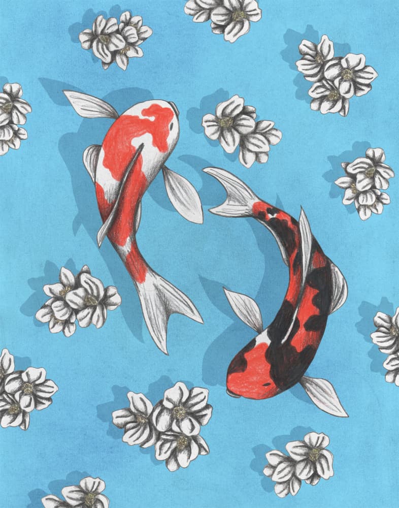 Two Koi Pond Flowers by Cecilia Battaini — canvas wall art