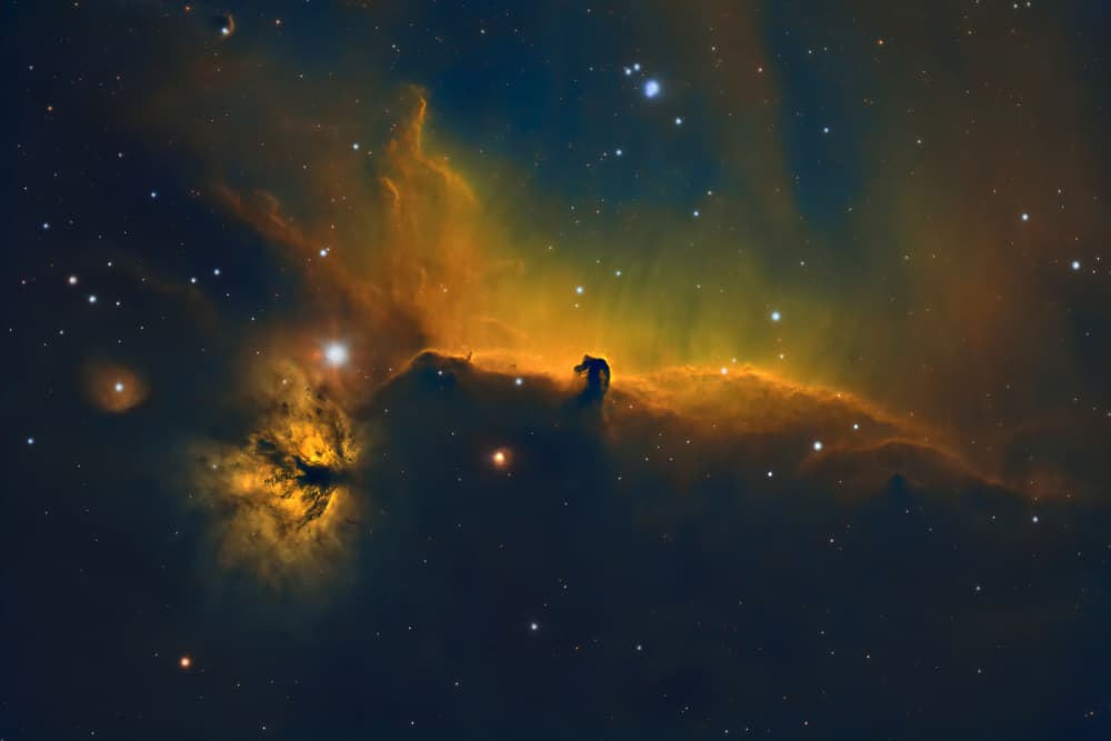 Cosmic Horsehead Nebula by Massimo Tamajo — canvas wall art