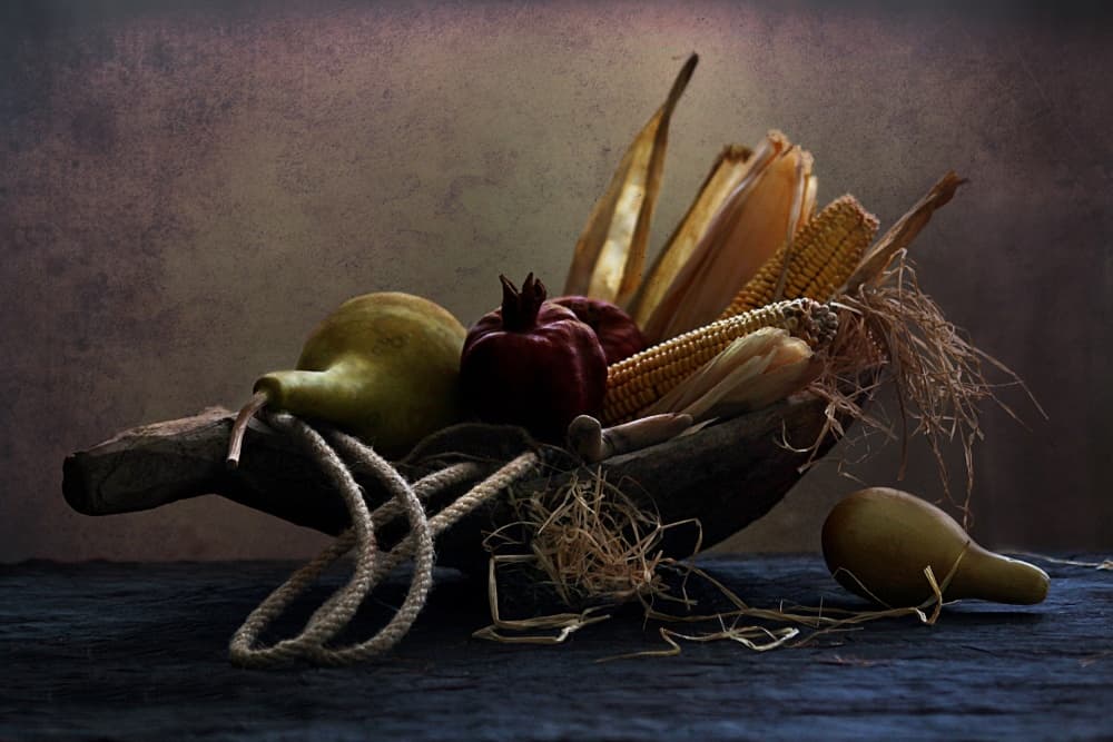 Rustic Fall Bounty by Emine Basa — canvas wall art