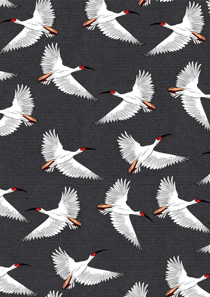 Graceful White Birds Flying by Nicholas — canvas wall art