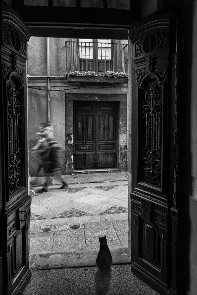 Black Cat Doorway View by Jose C. Lobato — canvas wall art