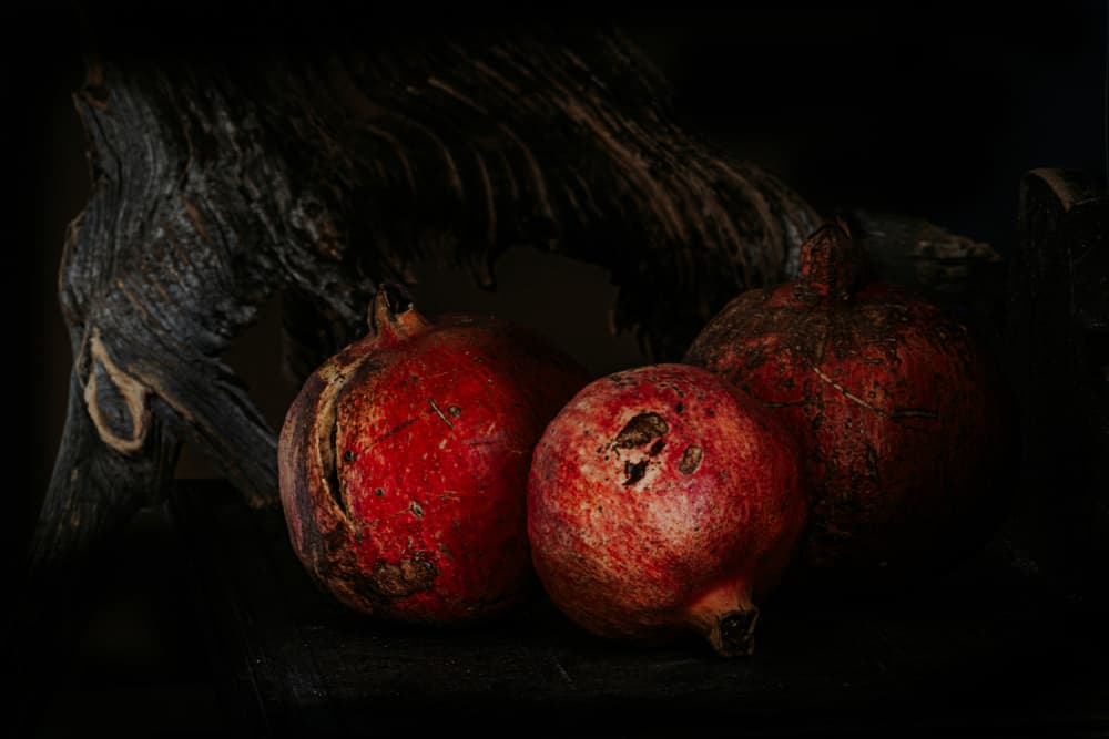 Moody Red Pomegranates by Marija Kordić — canvas wall art