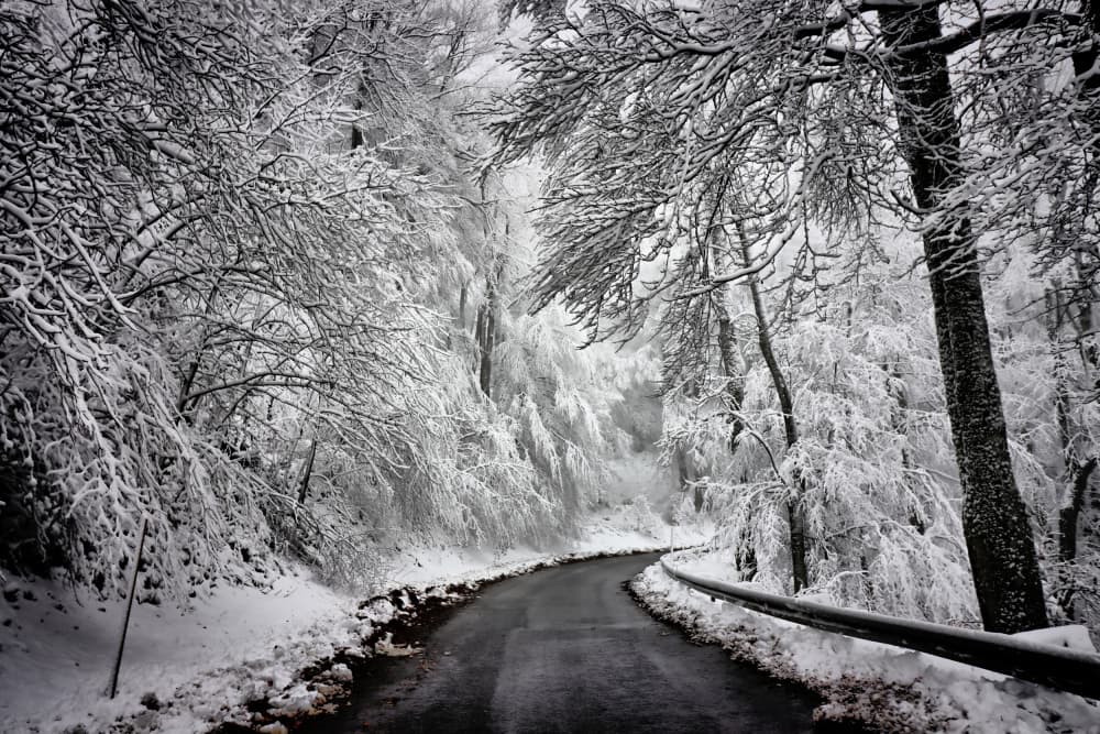 Winding Snowy Road by Bojan Bencic — canvas wall art