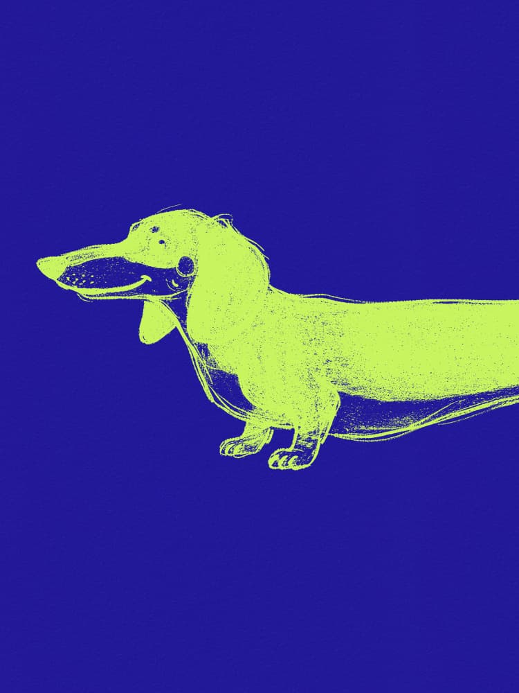 Modern Green Dachshund by Andreas Magnusson — canvas wall art