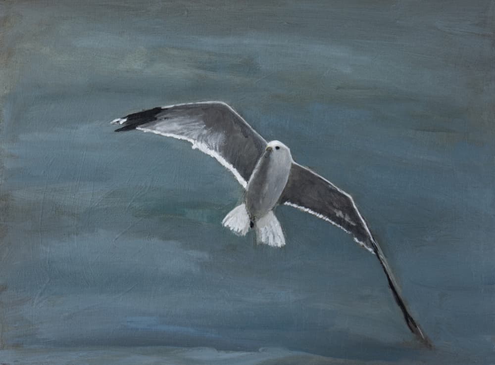 Seagull Soaring Over Water by Claire Lerner — canvas wall art