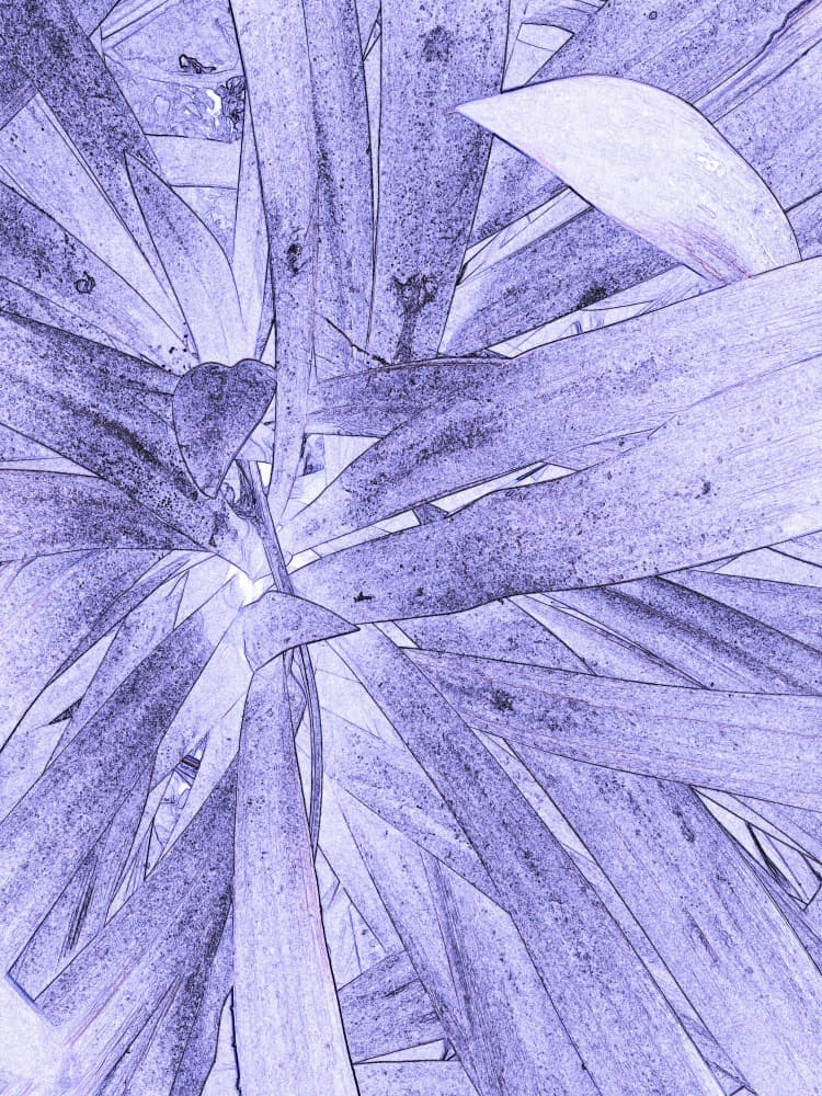 Purple Botanical Sketch by Santhosh ch — canvas wall art