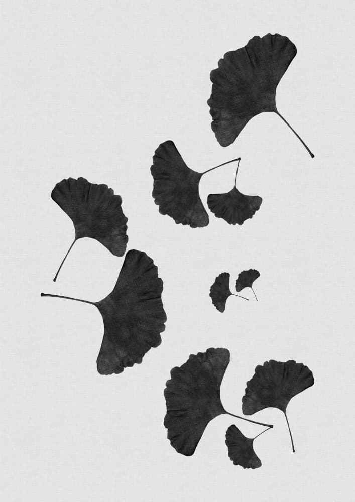 Elegant Ginkgo Leaves by Orara Studio — canvas wall art