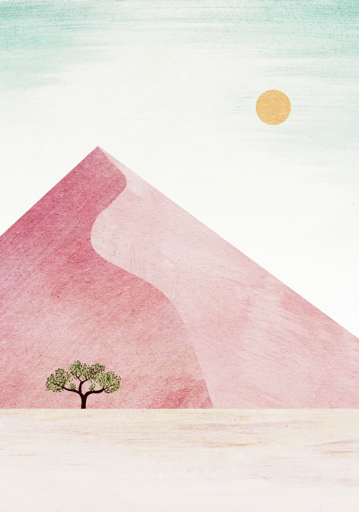 Pink Desert Solitude by longwayhome — canvas wall art