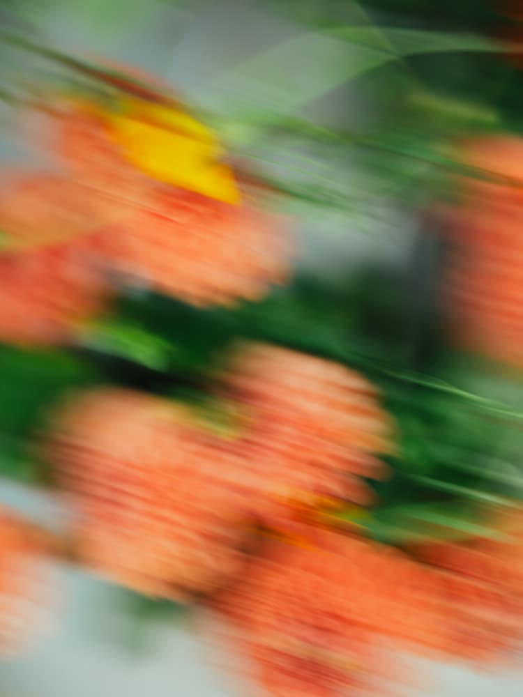 Moving Flowers 8 by Raisa Zwart — canvas wall art