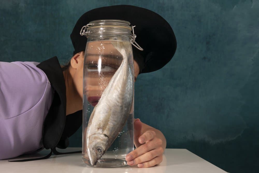 Surreal Fish Gaze by Christine von Diepenbroek — canvas wall art