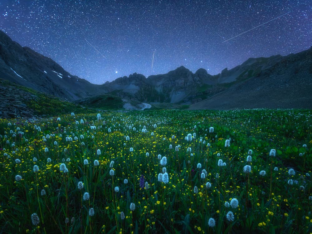 Starry Mountain Meadow by Mei Xu — canvas wall art