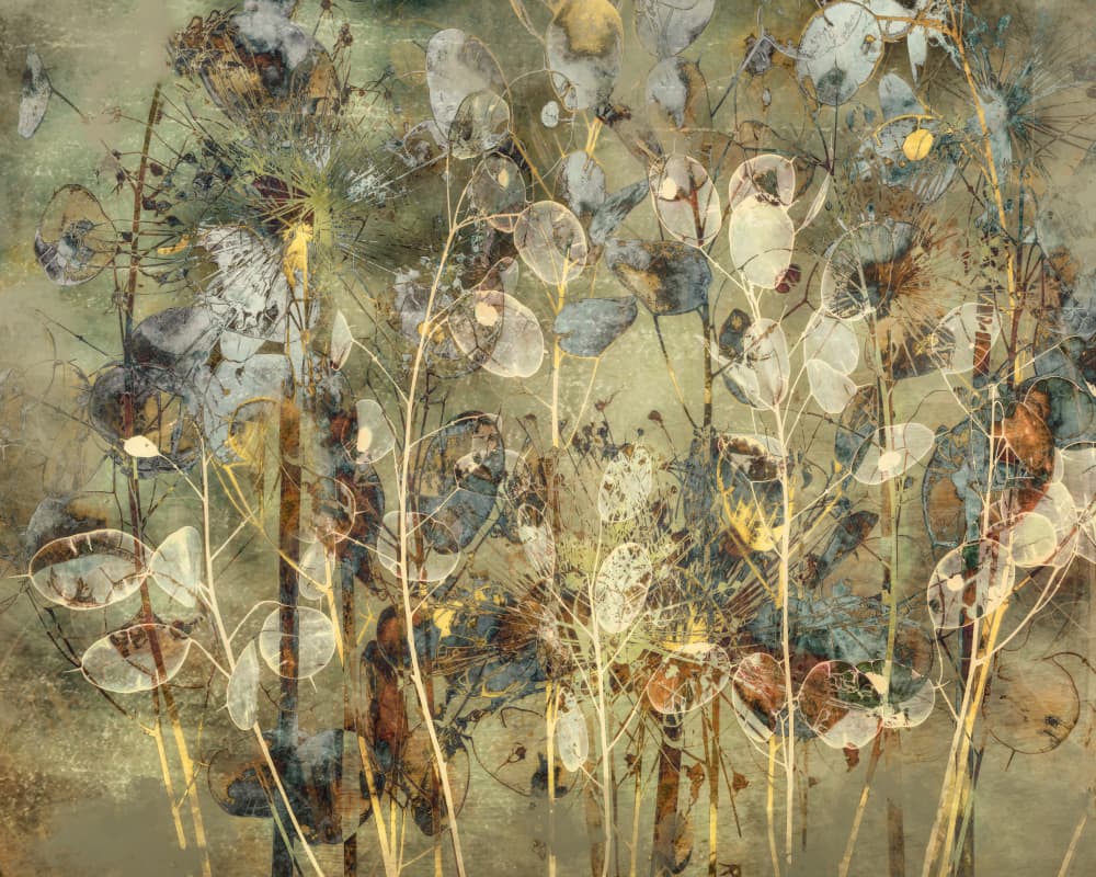 Impression of seeds by Nel Talen — canvas wall art