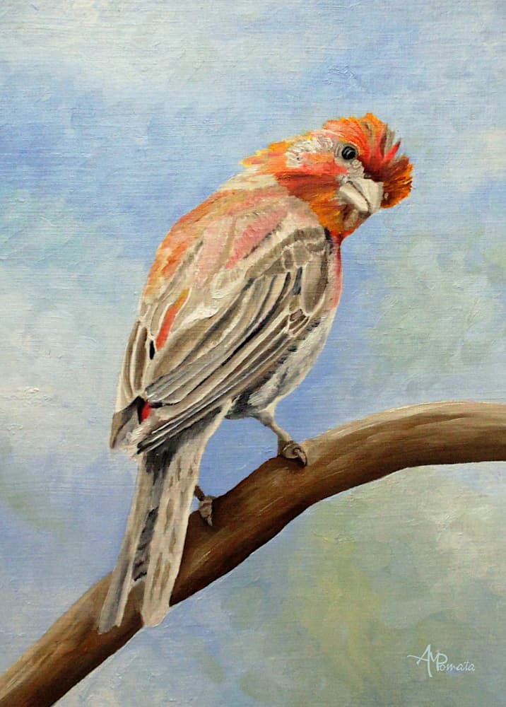 Red Finch On Branch by Angeles M. Pomata — canvas wall art