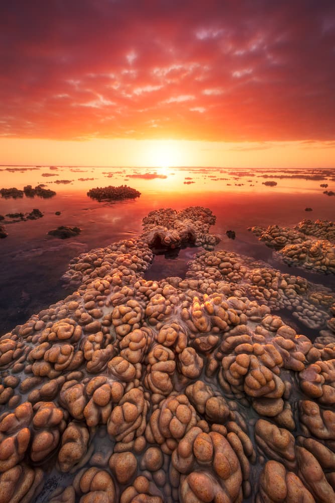 Fiery Reef Sunset by Barathieu Gabriel — canvas wall art