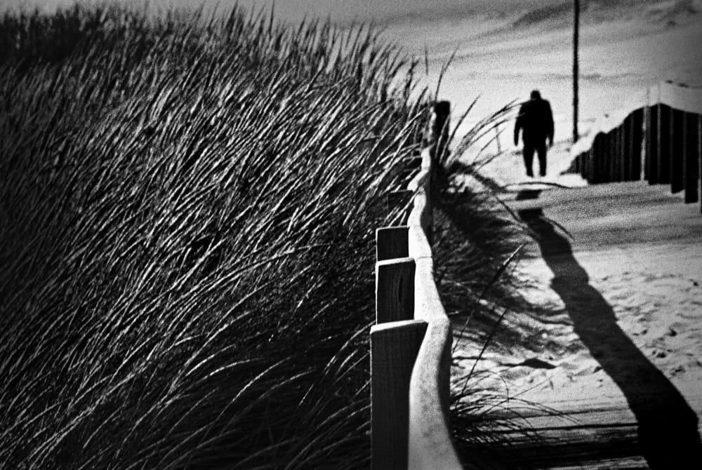 Solitary Walk on Dunes by Paulo Abrantes — canvas wall art