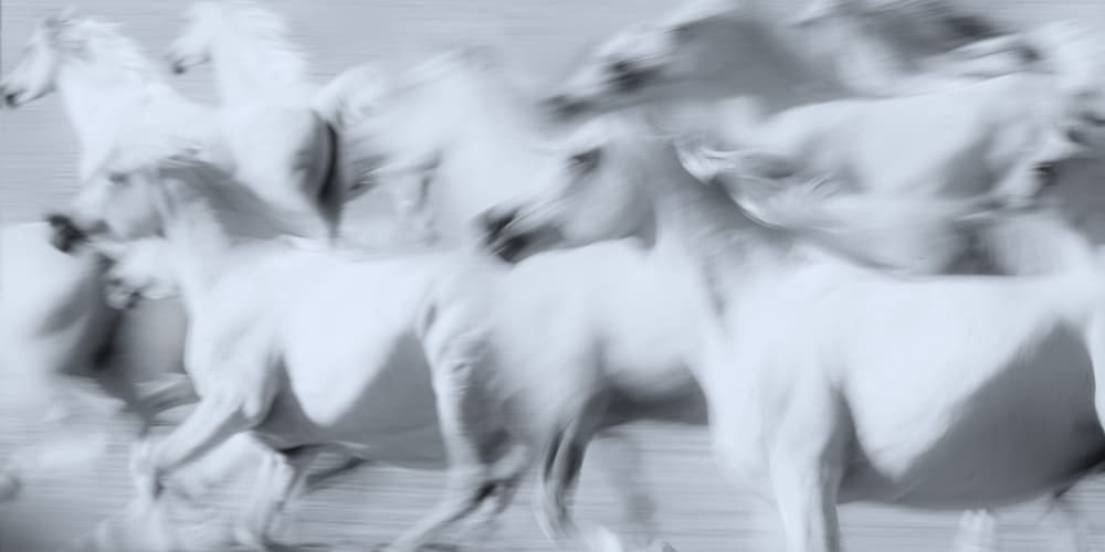 Galloping White Horses by Ulrike Leinemann — canvas wall art