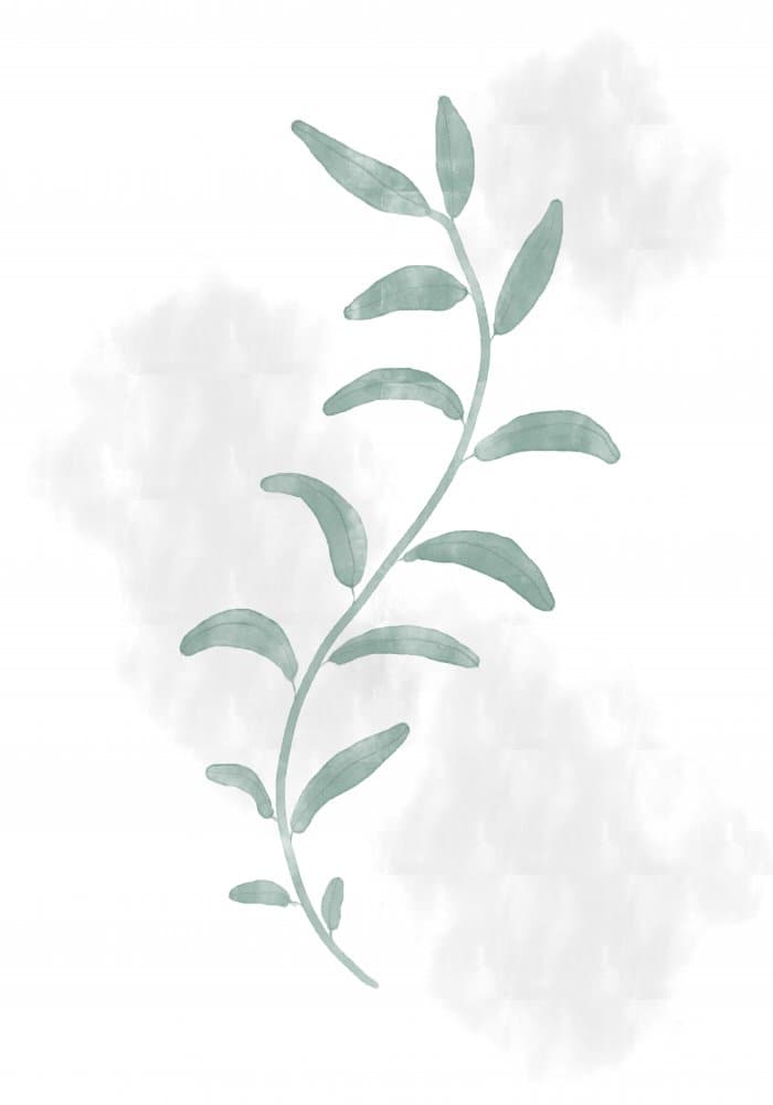Green Botanical Whisper by Pictufy Studio II — canvas wall art