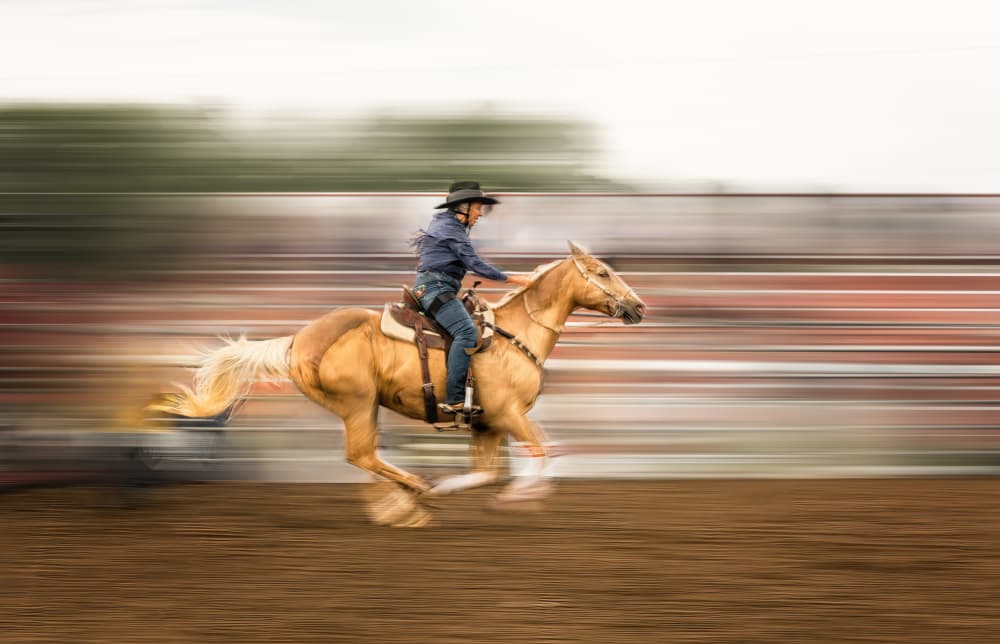 Galloping Rodeo Horse by Molly Fu APA — canvas wall art