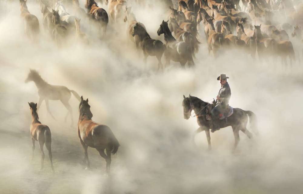 Wild Horses And Cowboy by Ali Can — canvas wall art