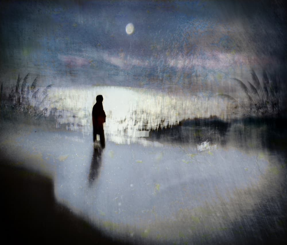 Solitary Night Reflection by Shenshen Dou — canvas wall art