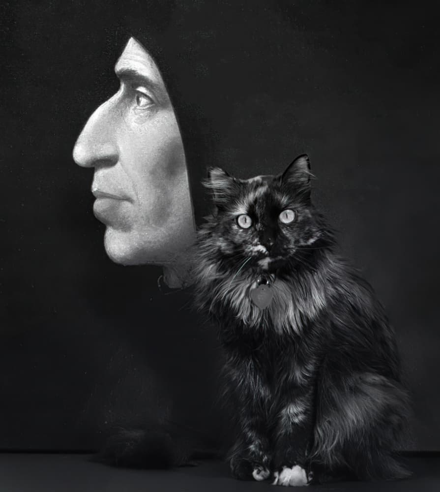 Cat and Profile Illusion by Jane Lyons — canvas wall art