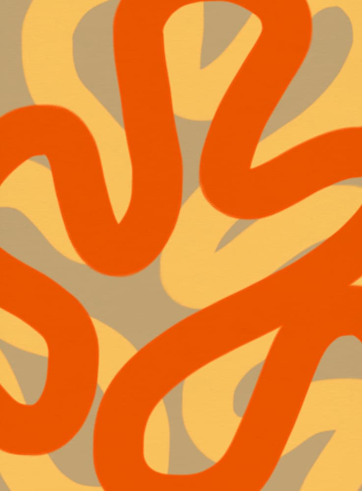 Fluid Orange Abstract Lines by Studio Memb — canvas wall art