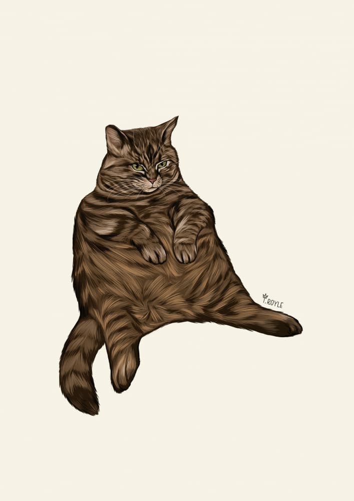 Chonky Tabby Cat by Tara Royle — canvas wall art