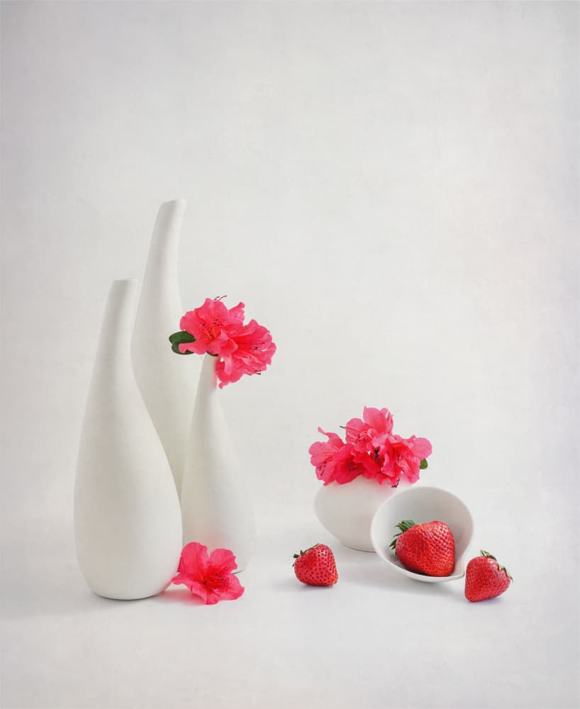 Fresh Strawberries Pink Flowers by Alice Sheng — canvas wall art