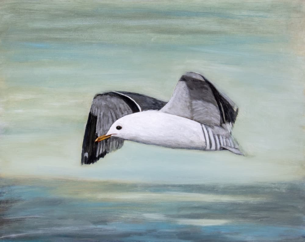 Seagull Over Ocean by Claire Lerner — canvas wall art
