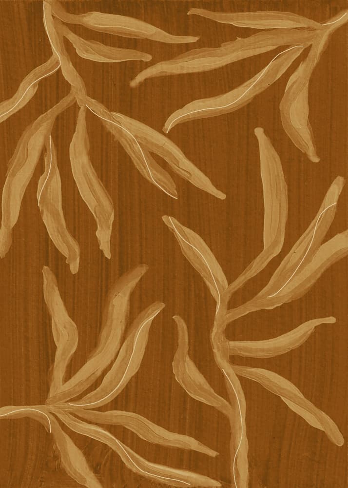 Ghost Fern 2 Sepia by Lori Ann Folz — canvas wall art