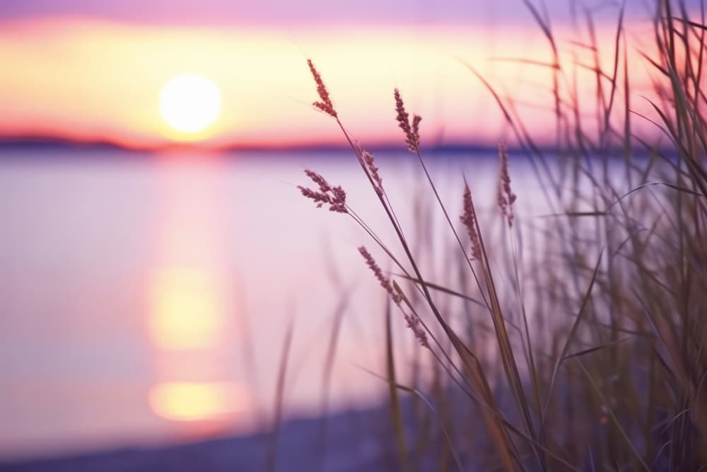 Serene Sunset Glow by Treechild — canvas wall art