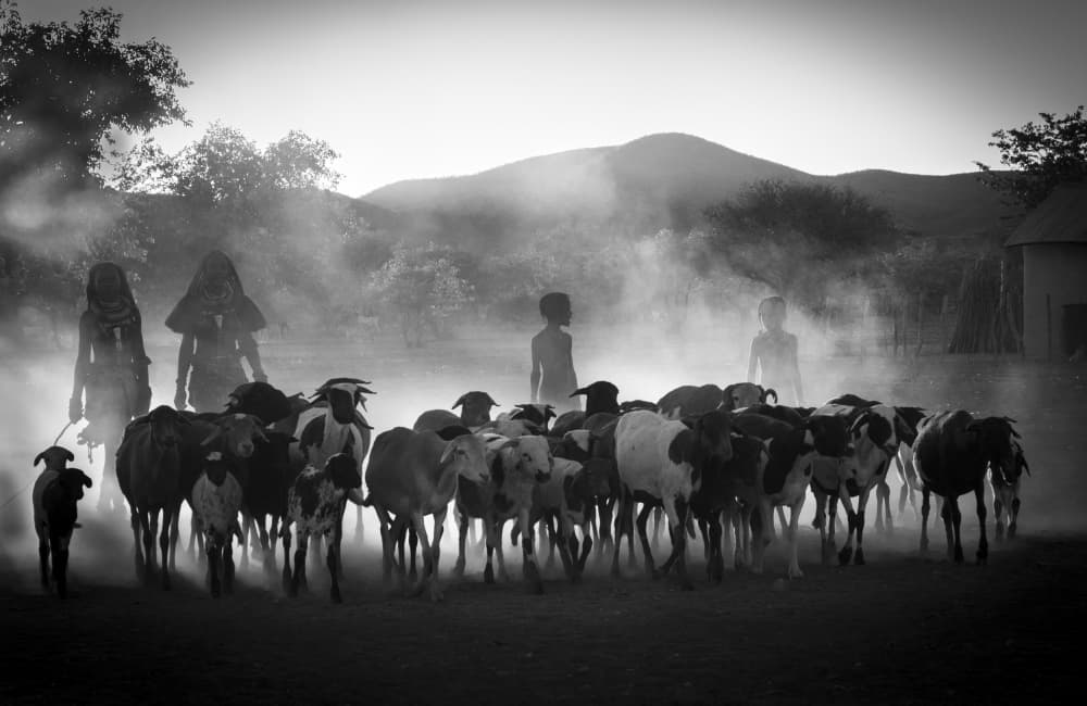 Dusty Path Shepherds by Mei Shi — canvas wall art