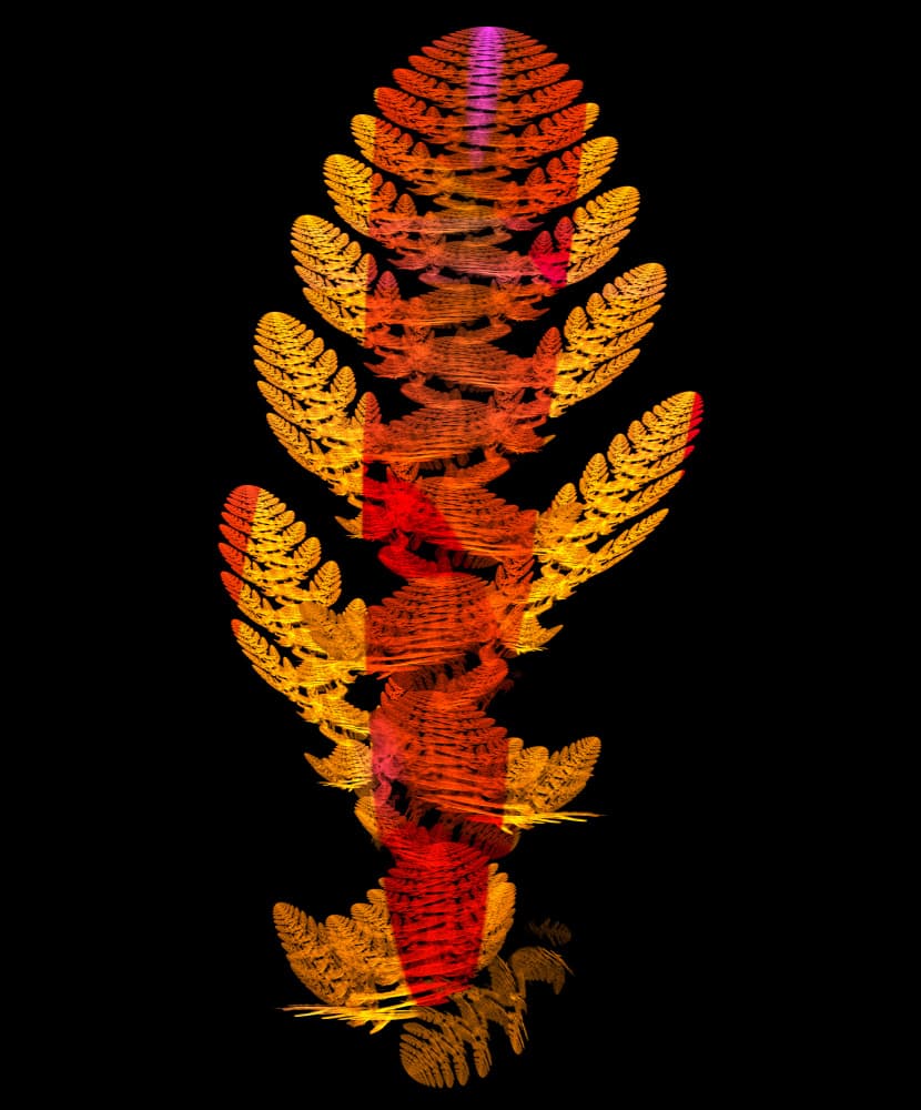 Fiery Fractal Fern by Mystic Number — canvas wall art