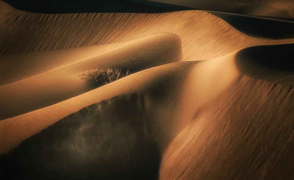 Wind Swept Dunes by Babak Mehrafshar — canvas wall art