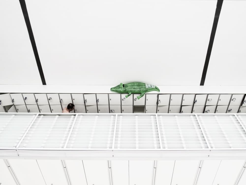 White Lockers Green Crocodile by Jonathan Lai — canvas wall art