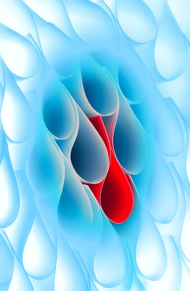 Abstract Blue Red Forms by Aida Ianeva — canvas wall art